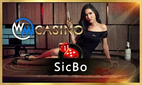 Playson Bingo Community Game